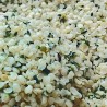 Semi di Canapa decorticati bio - 2Kg