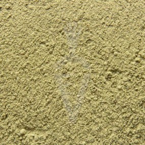 Brahmi Bio in polvere - 100g