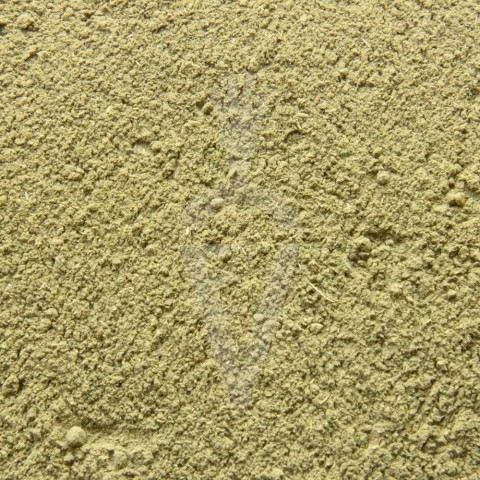 Brahmi Bio in polvere - 100g