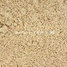 Reishi fungo bio in polvere Europa - 100g