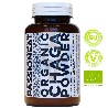 Chaga fungo bio in polvere Europa - 100g
