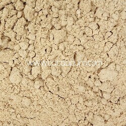 Cordyceps fungo bio in polvere Europa - 100g