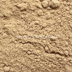 Hericium fungo bio in polvere Europa - 100g