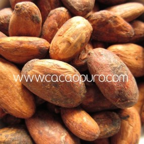 Semi Interi di Cacao Crudo