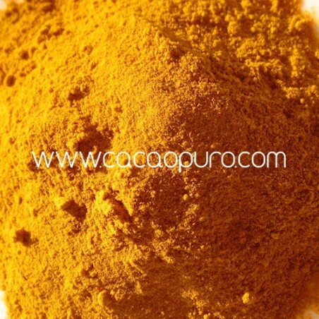 Curcuma in polvere  bio - 250 g