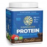 Proteine bio Sunwarrior CHOCOLATE- 375g