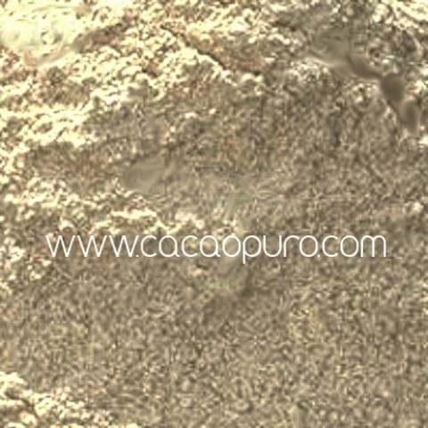 Psyllium bio - 250g macinato finissimo