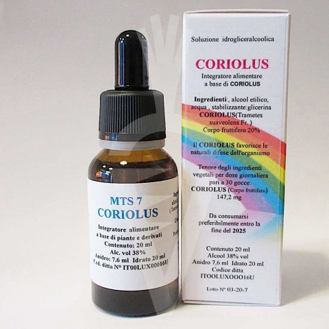 Coriolus fungo Mycoterapia Spagyrica Tintura da 20ml - MTS7 Estratto in Corrente di Vapore