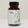 Chaga Inonotus obliquus fungo Bio estratto a ultrasuoni - 56 capsule