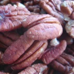 Noci Pecan bio - 250g