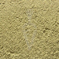 Brahmi Bio in polvere - 100g