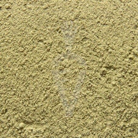 Brahmi Bio in polvere - 100g