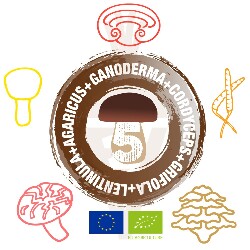 5MUSHROOM Miscela Bio in Capsule Veg di Ganoderma Cordyceps Grifola Lentinula Agaricus - 180 Capsule da 500mg