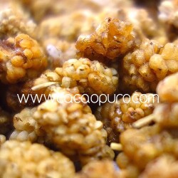 More di Gelso bianche bio essiccate - 300g