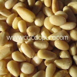 Pinoli di cedro bio - 100g