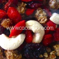 MIx Goji Vital - 200g