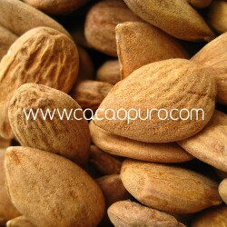 Mandorle bio crude 400g