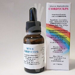 Cordyceps fungo Mycoterapia Spagyrica Tintura da 20ml