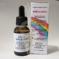 Phellinus fungo Mycoterapia Spagyrica Tintura da 20ml
