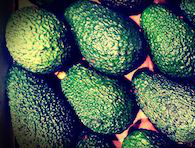 CACAOPURO-ZONA FRESCA BIO