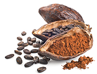 Cacao Biologico