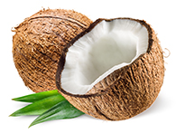 Cocco Bio